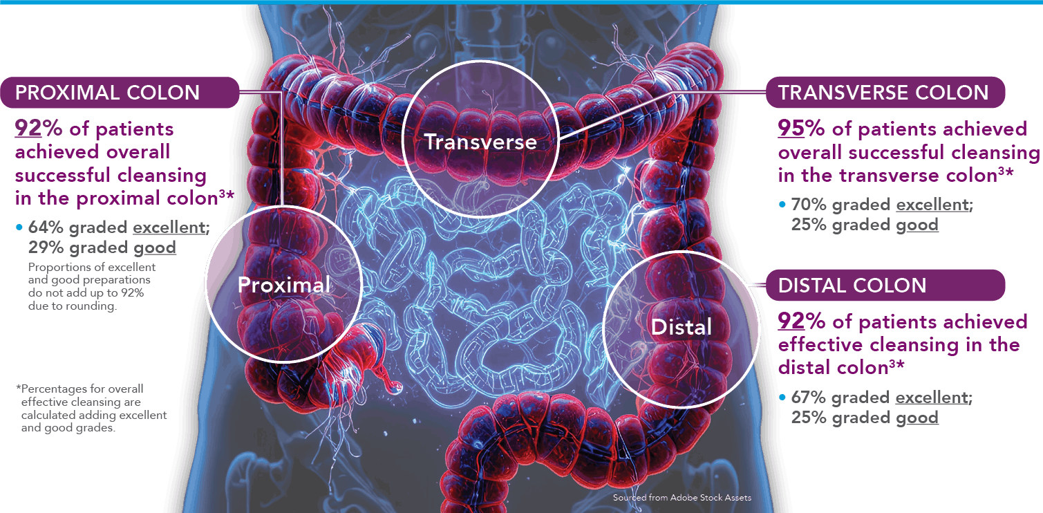 Proximal colon, Transverse colon and Distal Colon